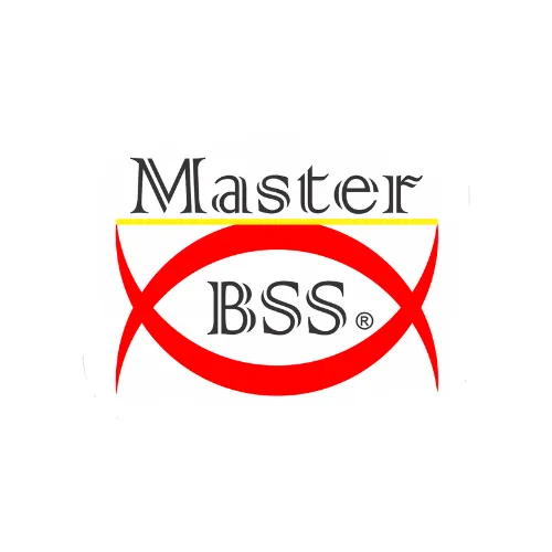 Master BSS Informática
